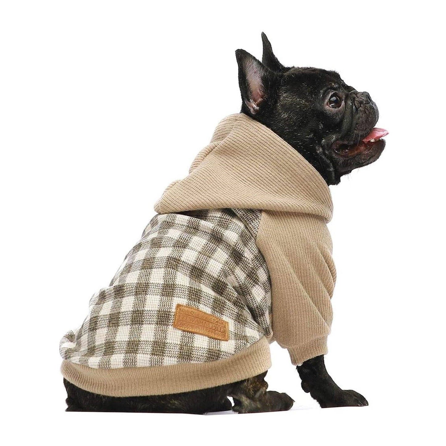 A black French bulldog poses sideways with its tongue out, wearing the Fitwarm Plaid Sweater Hoodie in beige and brown plaid with elastic ribbing.