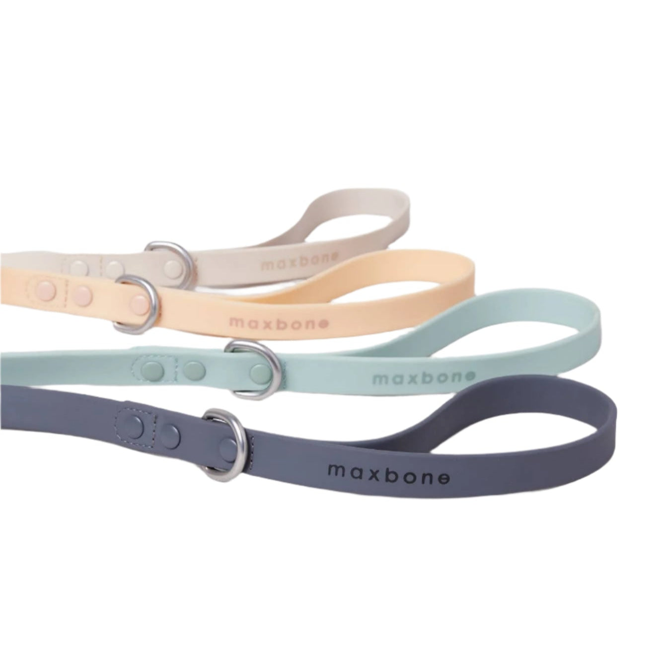 A set of four Hazel Leashes for Dogs in pastel colors—cream, peach, mint, and charcoal—arranged in a row. Each durable webbing leash includes a loop handle with zinc alloy hardware and the maxbone brand name printed on it.