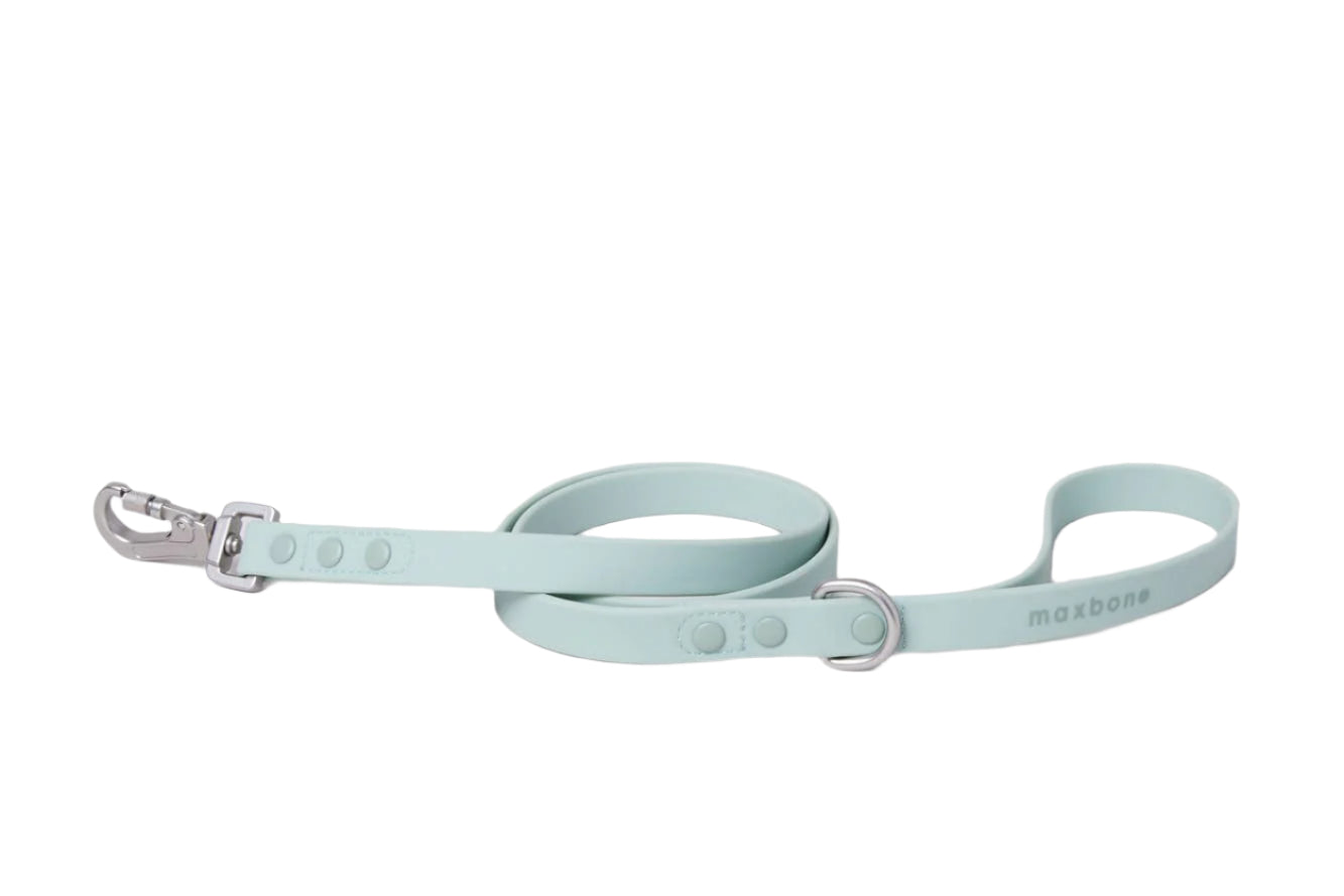 The Hazel Leash for Dogs by maxbone is a light mint green leash featuring durable webbing, a zinc alloy metal clasp, a loop handle, and embossed branding.