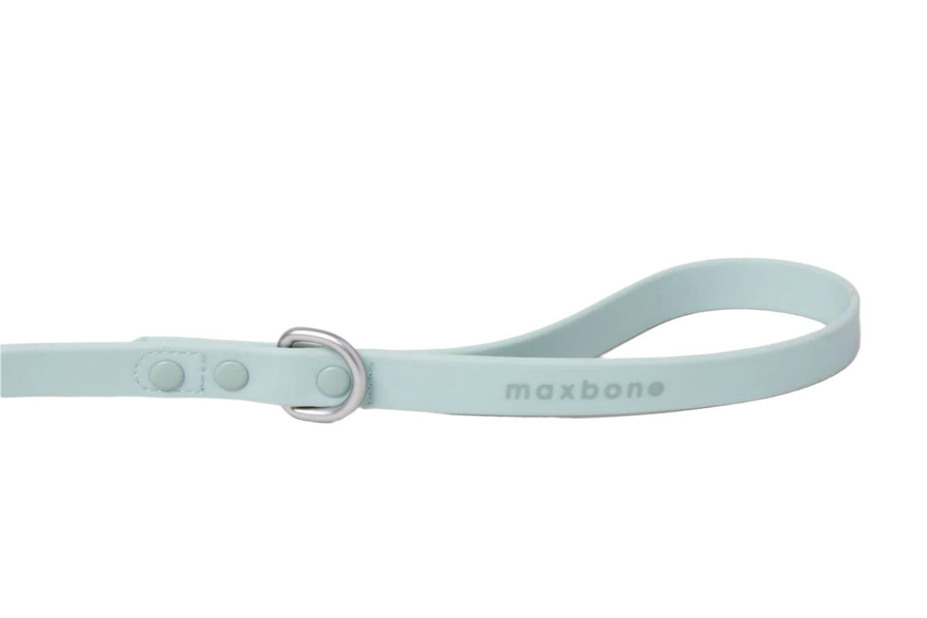 The Hazel Leash for Dogs by maxbone is light blue, featuring zinc alloy hardware and durable webbing, with a loop handle and the brand name embossed elegantly.