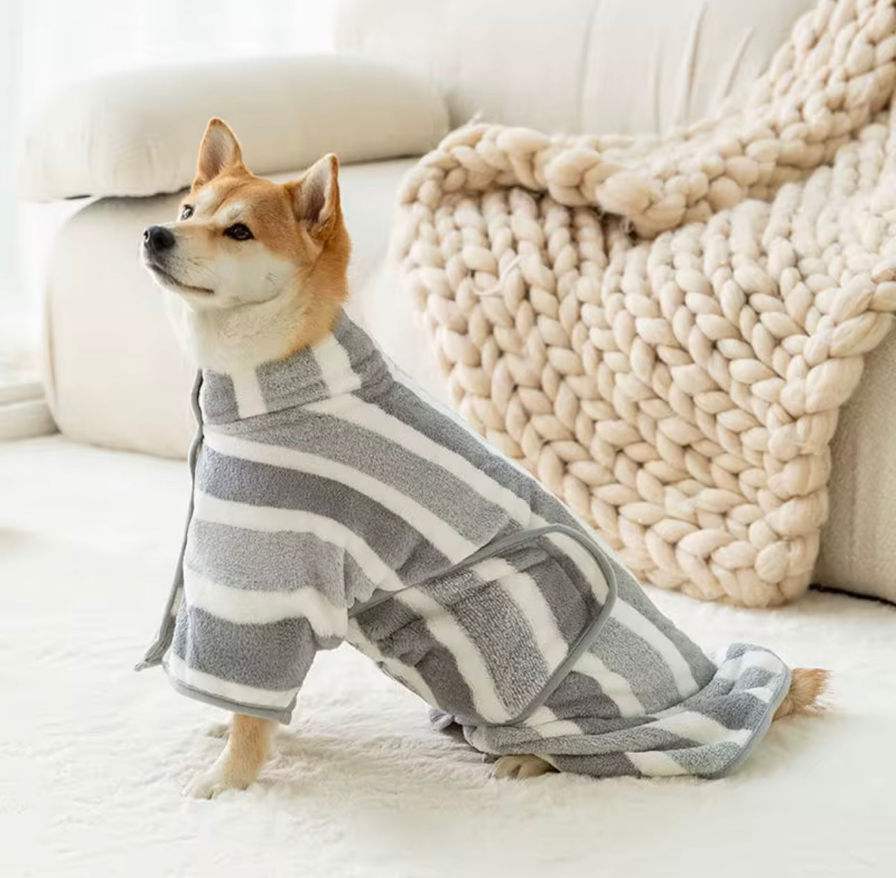 A Shiba Inu indulges in a cozy Bathrobe Drying Towel by Banks + Cove, lounging on a plush, light carpet. A sofa with a thick knitted beige blanket drapes the background, creating an atmosphere of warmth and comfort.