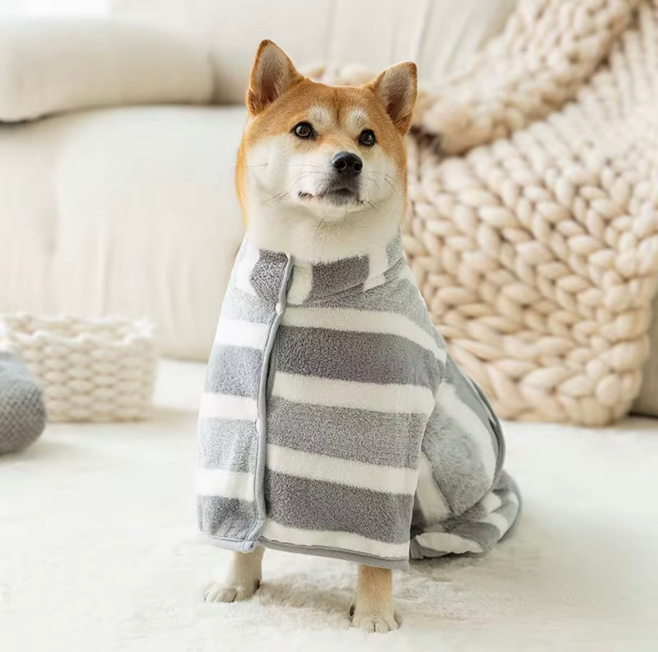 A Shiba Inu wrapped in a cozy, gray and white striped blanket sits on a soft, beige carpet. Behind it is a Banks + Cove Bathrobe Drying Towel beside a decorative basket, creating a warm, inviting atmosphere perfect for pet pampering.