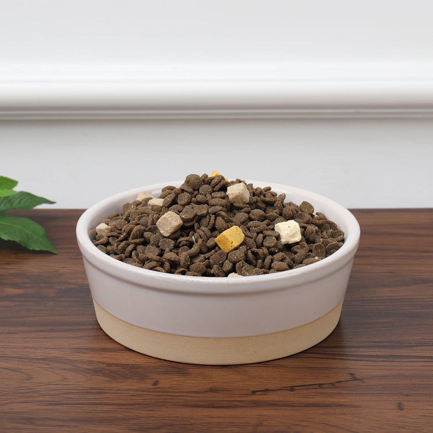 A stylish Nordic Cream Pet Bowl by Park Life Designs sits elegantly on a wooden table, filled with dry kibble and small colored cubes. In the backdrop, a green plant partially peeks out against a pristine white wall.