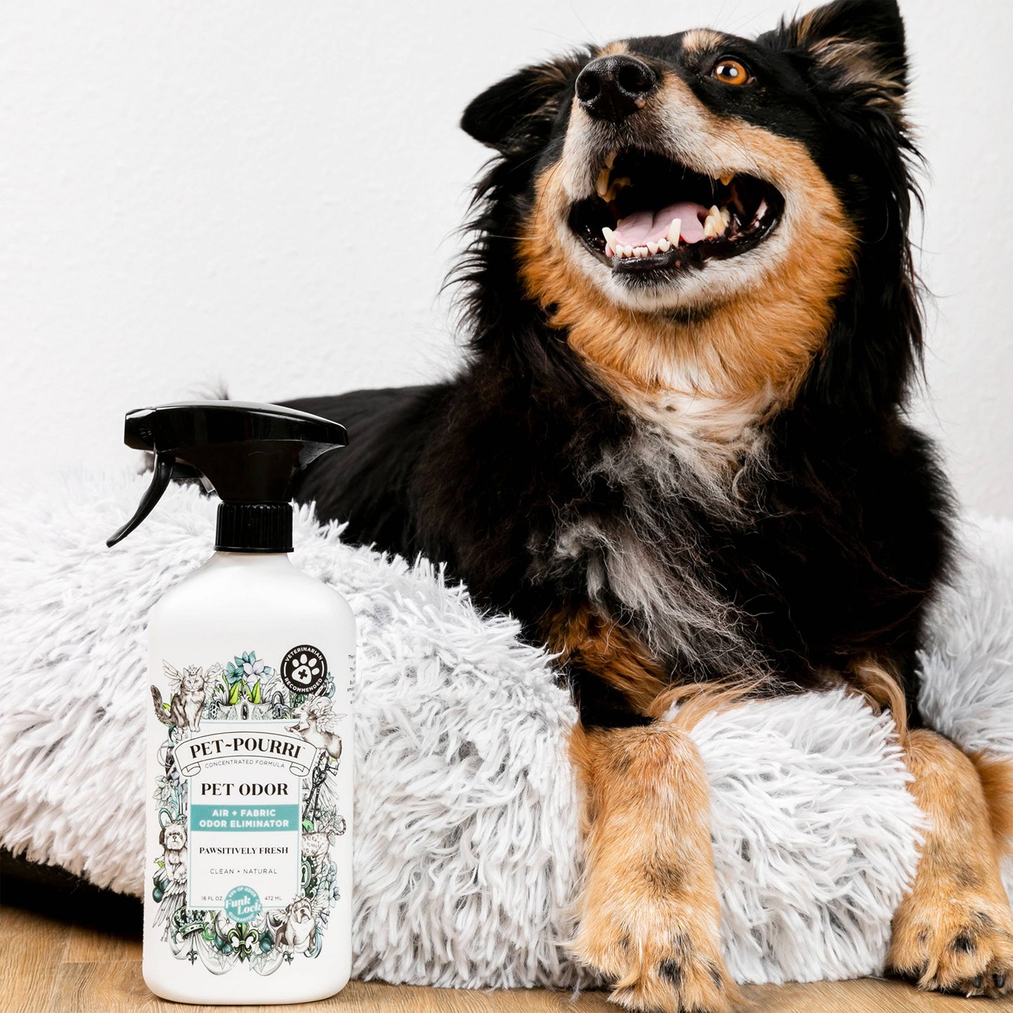 A joyful dog relaxes on a fluffy white cushion beside a bottle of ~Pourri’s Pet~Pourri Pawsitively Fresh Air+Fabric Odor Refresher 16oz, enriched with pet-friendly essential oils. The dogs open mouth suggests its savoring the fresh air, while the bottle displays floral designs and branding.